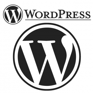 Website mit WordPress